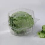 Hinged lettuce container with lettuce