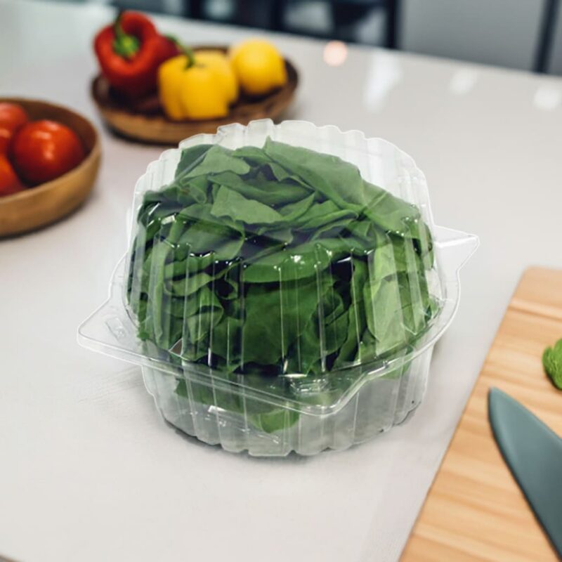 Lettuce Container Hinged Lettuce Container Hinged