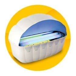 Insect Control